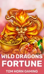 Wild Dragon`s Fortune
