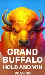 Grand Buffalo Hold and Win