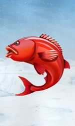 Ice Fishing